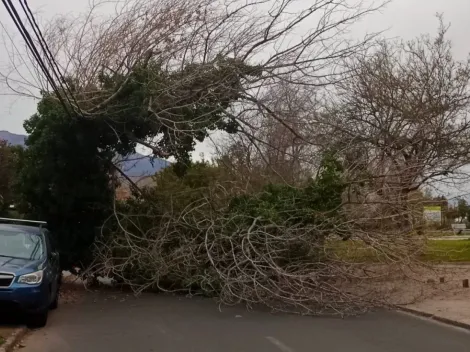 ¿En qué zona del sur de Chile habría un tornado?