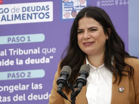 ¿Qué dos nuevas prohibiciones sumaría la Ley Papito Corazón?