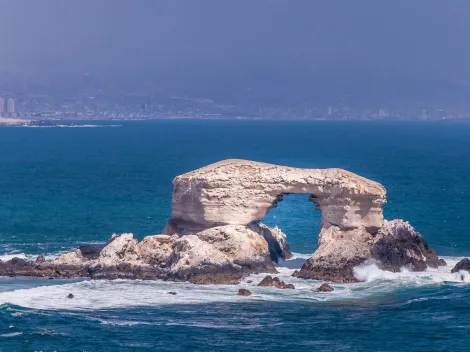 ¿Quiénes son los candidatos a alcalde por la comuna de Antofagasta?