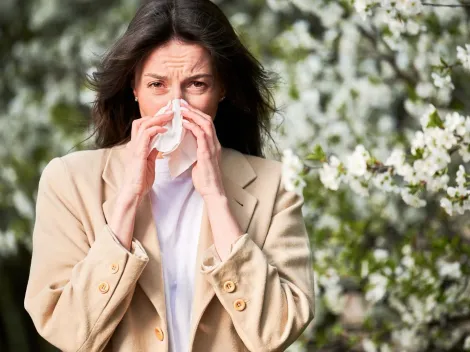 Alergia a la primavera: Consejos de expertos para sobrellevar los síntomas