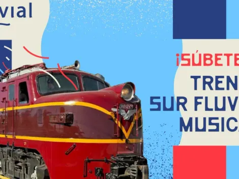 Tren Fluvial conecta Santiago y Valdivia: Precio y horarios