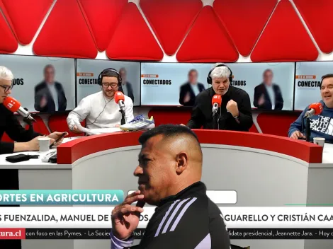 Irónicas burlas por las disculpas de Almirón en Colo Colo