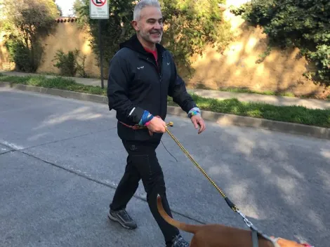 Juvenal Olmos paseará perros en una corrida familiar de La Reina