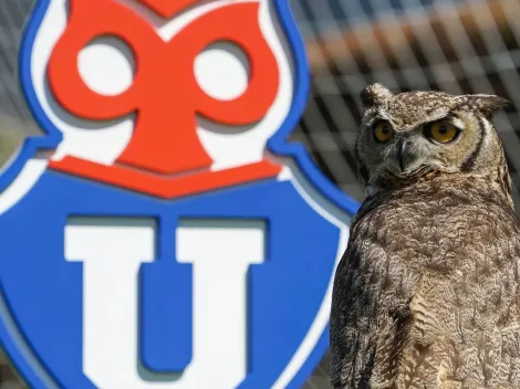¡Tajante anuncio de la casa de estudios por el Chuncho y nombre de la U!