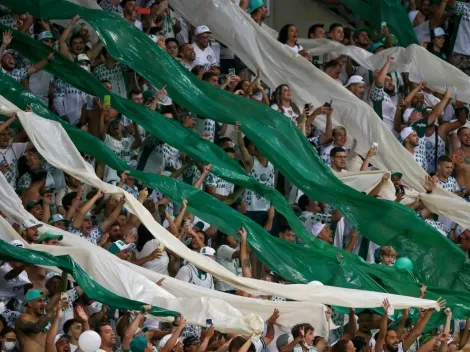 Torcida pede e Palmeiras pode fechar com um dos artilheiros do último Brasileirão