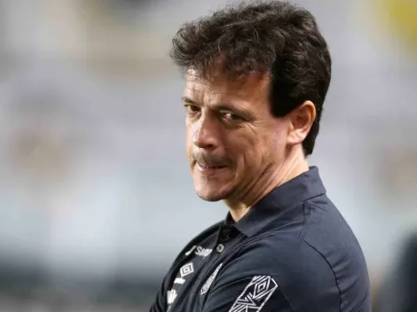 Fernando Diniz é o novo técnico do Fluminense