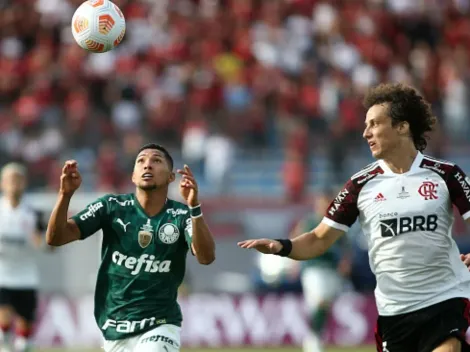 Veja os jogadores do Palmeiras e Flamengo com mais títulos no currículo