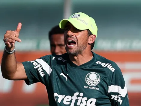 Após pedir chance no Palmeiras, jogador é "ignorado" e oferecido ao Vitória