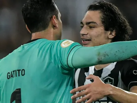 Botafogo surpreende e aceita negócio por xodó após proposta