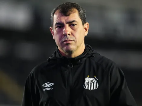 Técnico Fábio Carille desconversa sobre possível ida para o Corinthians