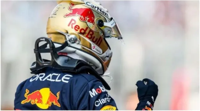 Max Verstappen con el HANS (Foto: @MAXVERSTAPPEN1)