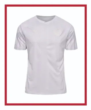 Denmark Away Kit