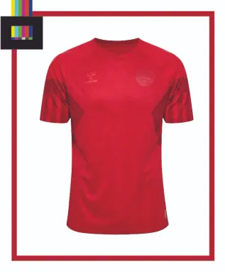 Denmark Home Kit