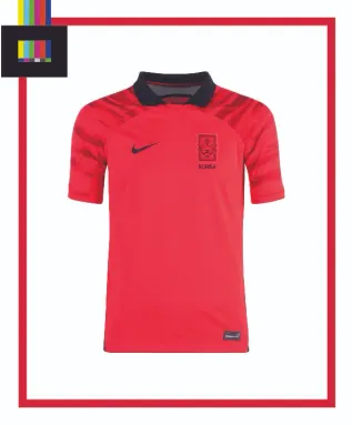 South Korea Home Kit
