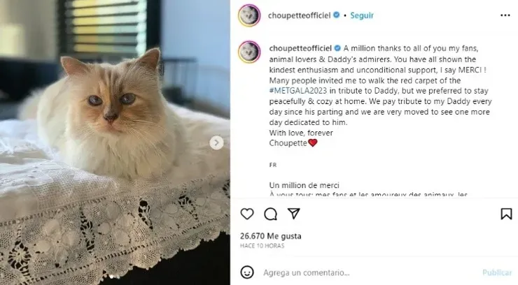 Choupette reveló en Instagram que no asistirá a la MET gala