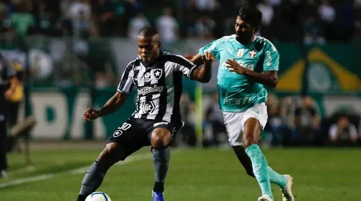 Tanque em ação pelo Botafogo. (Foto: Getty Images)