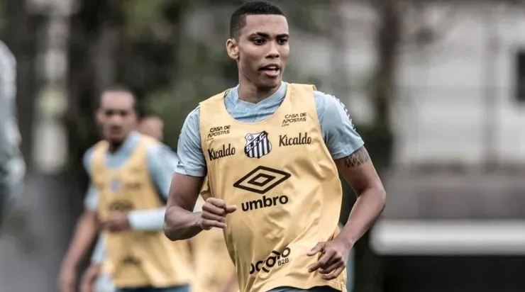 Foto: Ivan Storti/Santos FC