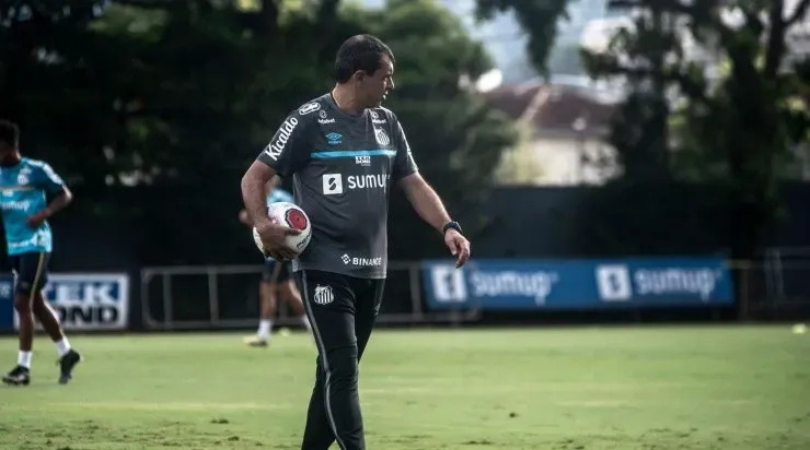Fábio Carille sonha em fazer história no Athletico Mineiro. Foto: Ivan Storti/ Santos