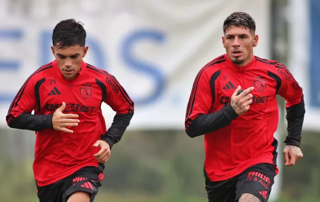 La venta de Vicente Pizarro y Alan Saldivia le dejarían al Cacique una suma cercana a los 4 millones de dólares. | Foto: Colo Colo. 