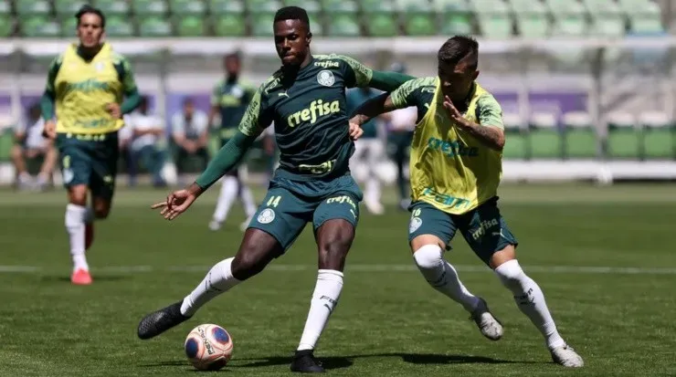 Pedrão: reforço do Athletico (Foto: Palmeiras/Divulgação)