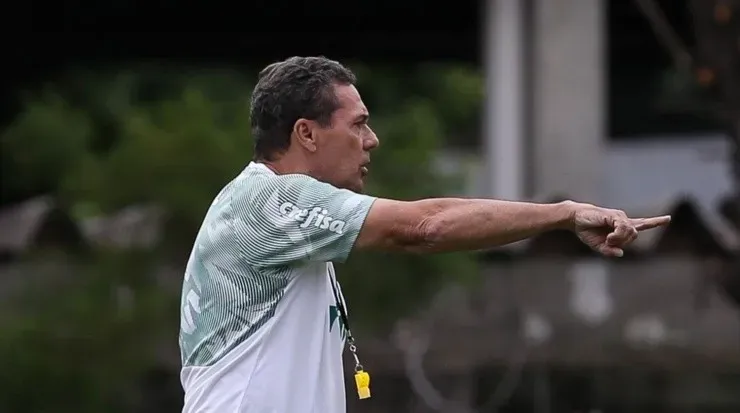 Luxemburgo: técnico terá que apontar quem fica de fora (Foto: Cesar Greco/Palmeiras/Divulgação)
