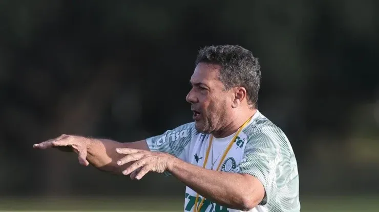 Vanderlei prepara o time para a estreia. Foto: Cesar Greco/Palmeiras.