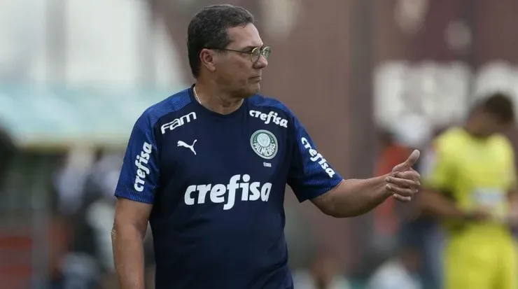 Luxa está em sua quinta passagem pelo Verdão – Foto: Divulgação/S.E. Palmeiras.