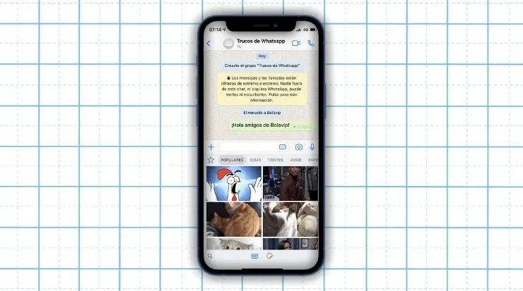 Responder los chats con GIFs (Fuente: Captura de pantalla)