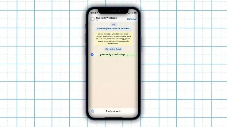 Cómo eliminar chats (Fuente: Captura de pantalla)