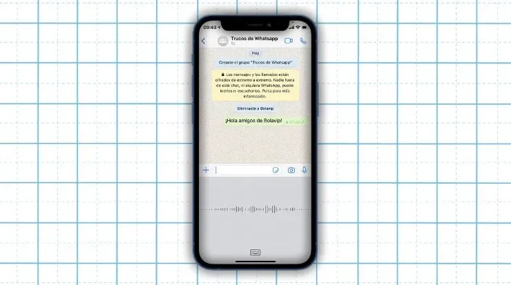 Escribir mensajes con la voz (Fuente: Captura de pantalla)