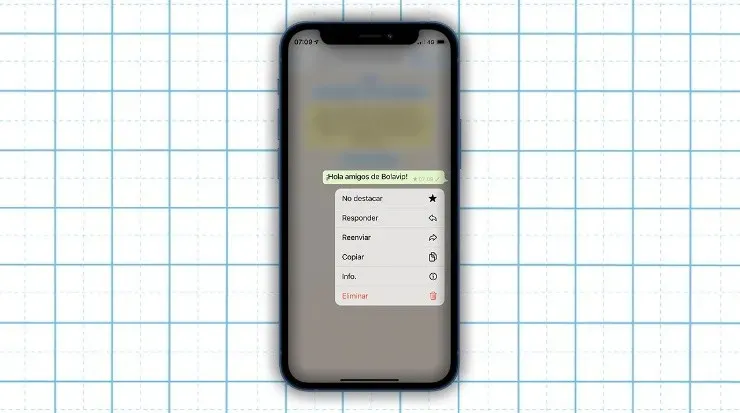 Destacar mensajes y marcarlos como favoritos (Fuente: Captura de pantalla)