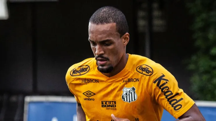 Foto: Bruno Santoni / Santos FC - Luiz Felipe interessa ao Cruzeiro
