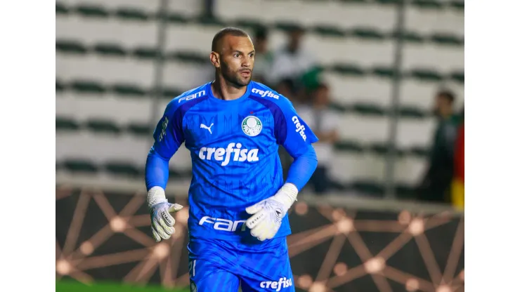 Weverton durante confronto contra o Juventude no Brasileirão 2024.
