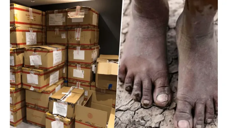 Juntó a Nike, Adidas, Under Armour y más: consiguió más de 600 pares de zapatillas para donar a los pueblos originarios