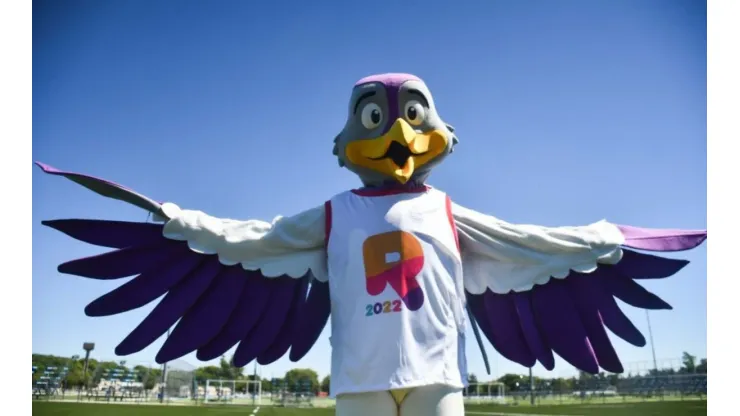 El tero Teté, la Mascota de los Juegos Suramericanos Rosario 2022