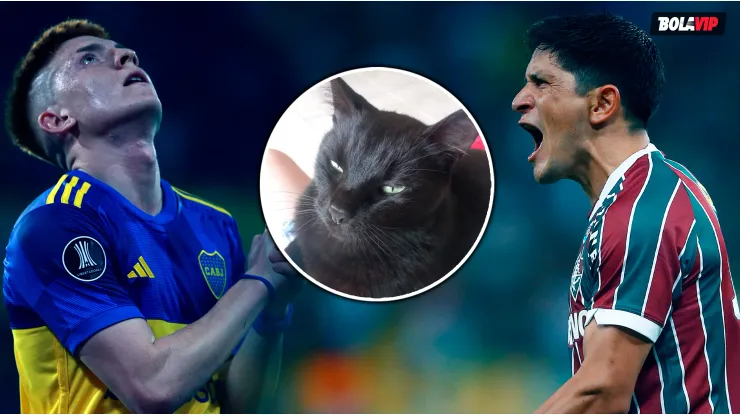 ¿Boca o Fluminense? Milu, el gato vidente de TikTok, predijo quién ganará la Libertadores