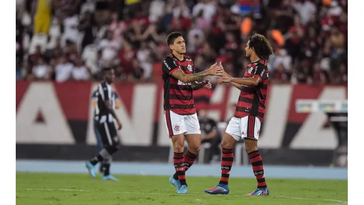 Foto: Thiago Ribeiro/AGIF | Pedro e +1 tem aprovação da torcida do Palmeiras, que causa ira em flamenguistas
