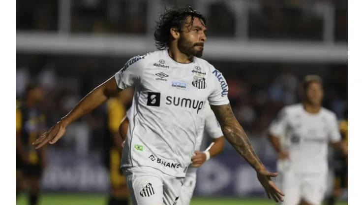 Ivan Storti / Santos FC - Ricardo Goulart, meia-atacante do Santos
