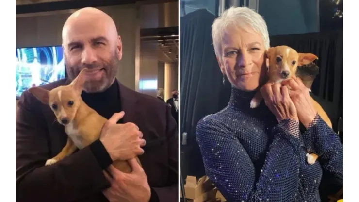 John Travolta adotou o pet - Foto 1 e 2: Reprodução/Instagram oficial de Jamie Lee Curtis
