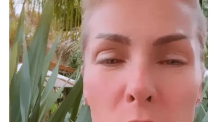 Reprodução/instagram Ana Hickmann
