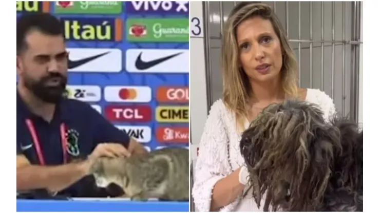 Luisa Mell criticou o auxiliar da Seleção Brasileira que retirou o gato da coletiva de forma brusca
