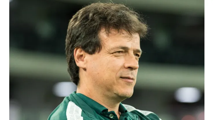 Robson Mafra/AGIF - Fernando Diniz, técnico do Fluminense
