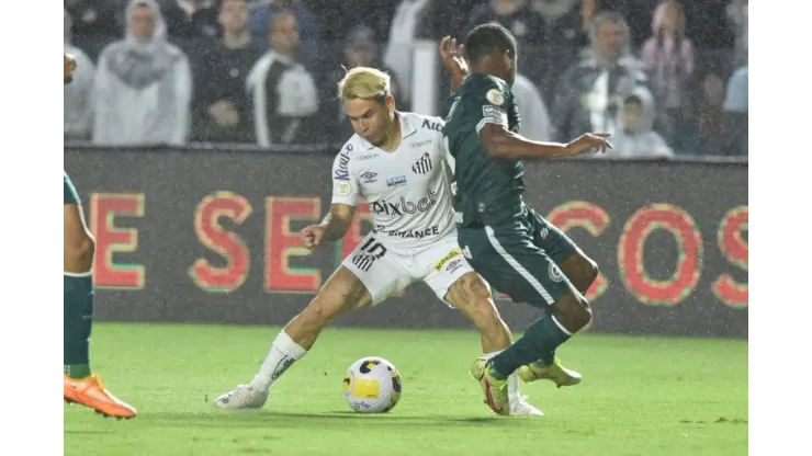 Foto: Ivan Storti/Santos FC
