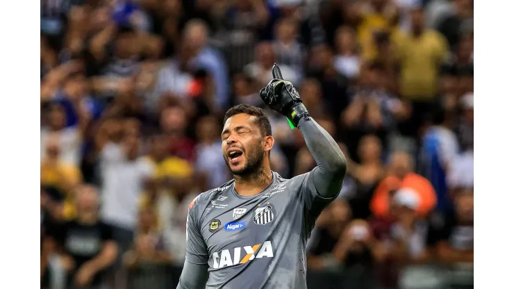 Santos define futuro de goleiro Vladimir após Xingamentos e críticas<br />
 -  Foto: Ale Cabral/AGIF
