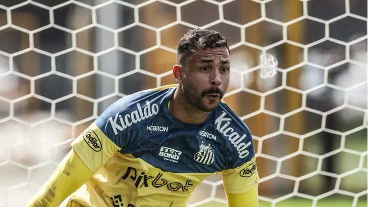 Vladimir não caiu nas graças da torcida do Santos.  Foto: Bruno Santoni / Santos FC.
