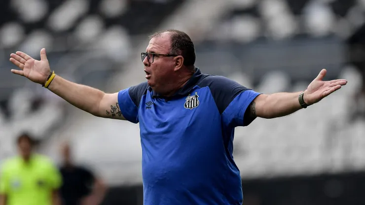 Marcelo Fernandes, técnico do Santos, durante partida contra o Botafogo no Engenhão pelo Campeonato Brasileiro - Foto: Thiago Ribeiro/AGIF
