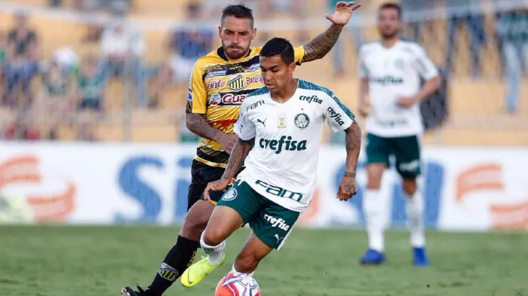 Foto: Thiago Calil/AGIF - Palmeiras e Novorizontino se enfrentam nesta quinta-feira (28) pela semifinal do Campeonato Paulista
