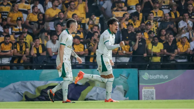 Gustavo Gomez jogador do Palmeiras comemora seu gol durante partida contra o Criciuma. Foto: Leonardo Hubbe/AGIF
