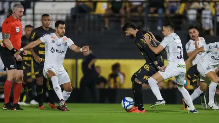 Foto: Pedro Zacchi/AGIF - Novorizontino bate o Santos por 3 a 1 nesta sexta-feira (7) pelo Brasileirão Série B 2024
