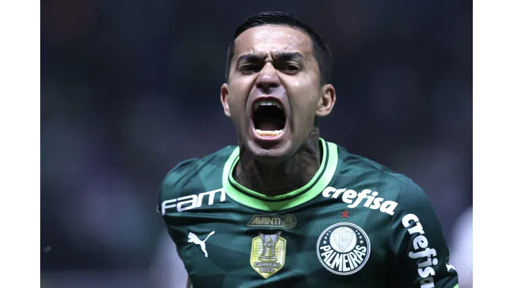 Dudu tomou decisão no Palmeiras
